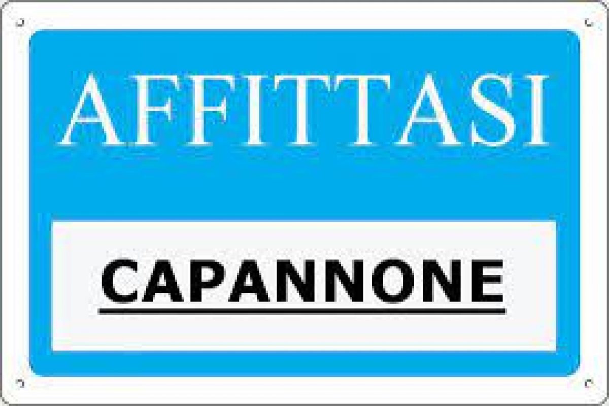 Capannone-affitto